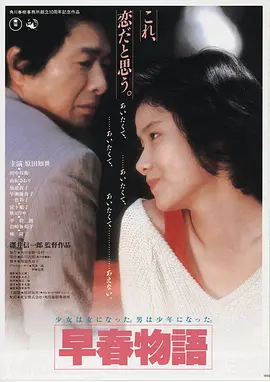 雾港谜案海报